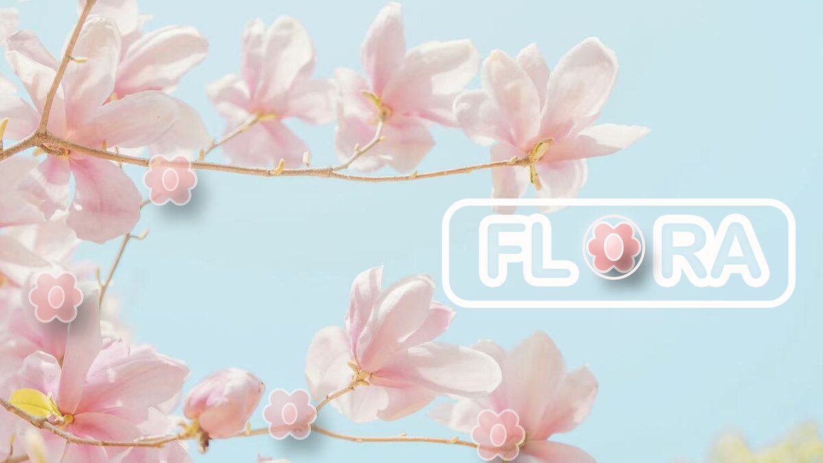 Flora TV ident with pink flowers